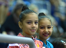 Bədii gimnastika üzrə XXII Bakı çempionatı və birinciliyi start götürüb. Bakı, Azərbaycan, 13 noyabr 2015